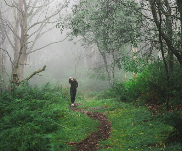 WHY WALKING IN NATURE NURTURES YOUR BRAIN